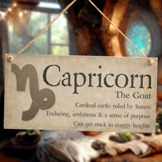 Capricorn The Goat Horoscope Sign